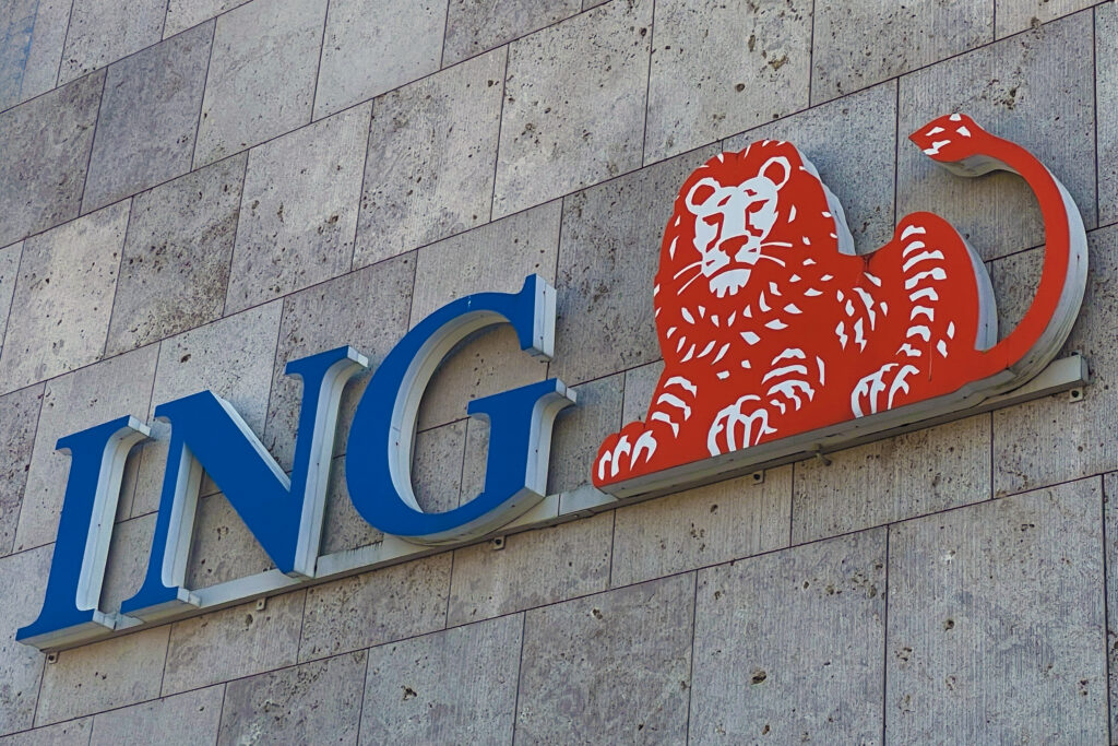 Manager Ing Interimmanagement ING Bank - Redept